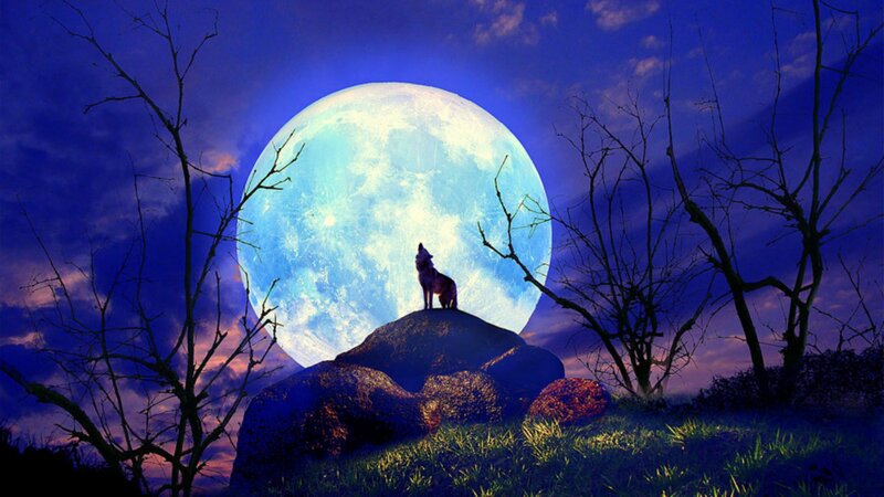 Wolf Howling at Moon — Blue, Dramatic, Night, Digital Art, Rock, Trees