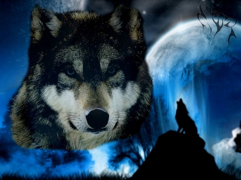 Wolf Howling at Moon — Blue, Dramatic, Night, Digital Art, Silhouette