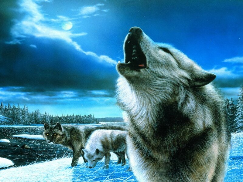 Wolf Howling at Moon — Blue, Dramatic, Night, Digital Art, Snow