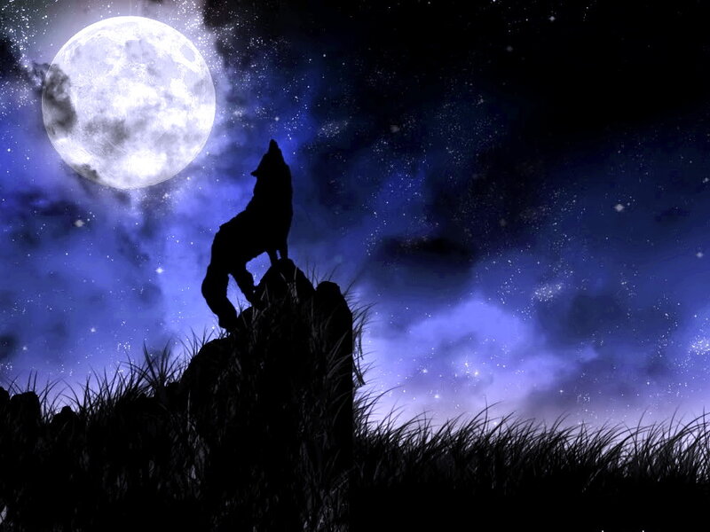 Wolf Howling at Moon — Blue, Dramatic, Night, Digital Art, Stars, Grass