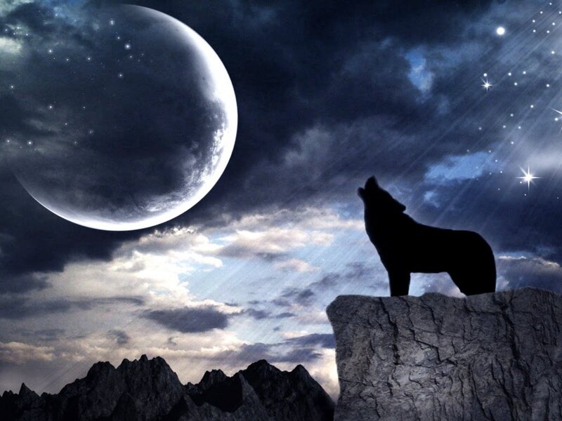 Wolf Howling at Moon — Blue, Dramatic, Night, Digital Art, Stars, Mountain
