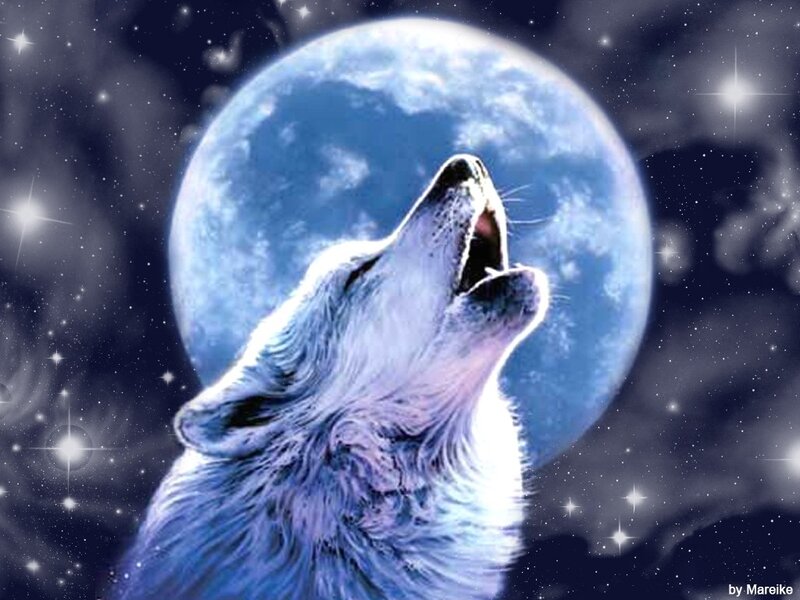 Wolf Howling at Moon — Blue, Dramatic, Night, Digital Art, Stars, Night Sky