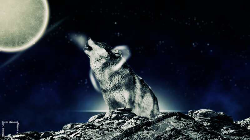 Wolf Howling at Moon — Blue, Dramatic, Night, Digital Art, Stars, Rocks