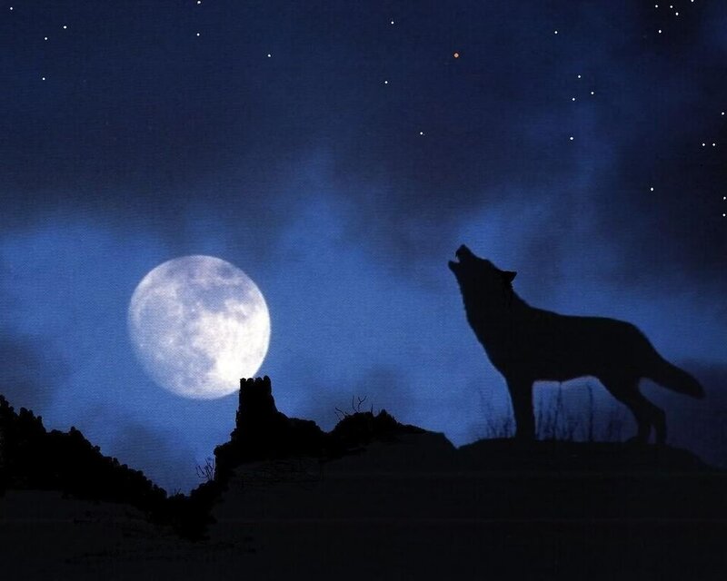Wolf Howling at Moon — Blue, Dramatic, Night, Digital Art, Stars, Silhouette