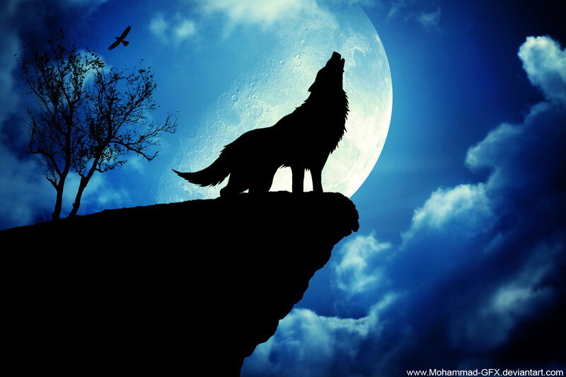 Wolf Howling at Moon — Blue, Dramatic, Night, Digital Art, Tree, Bird