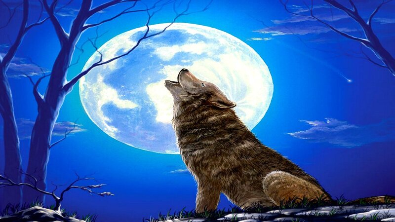 Wolf Howling at Moon — Blue, Dramatic, Night, Digital Art, Trees, Sky