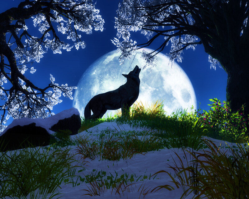 Wolf Howling at Moon — Blue, Dramatic, Night, Digital Art, Trees, Snow
