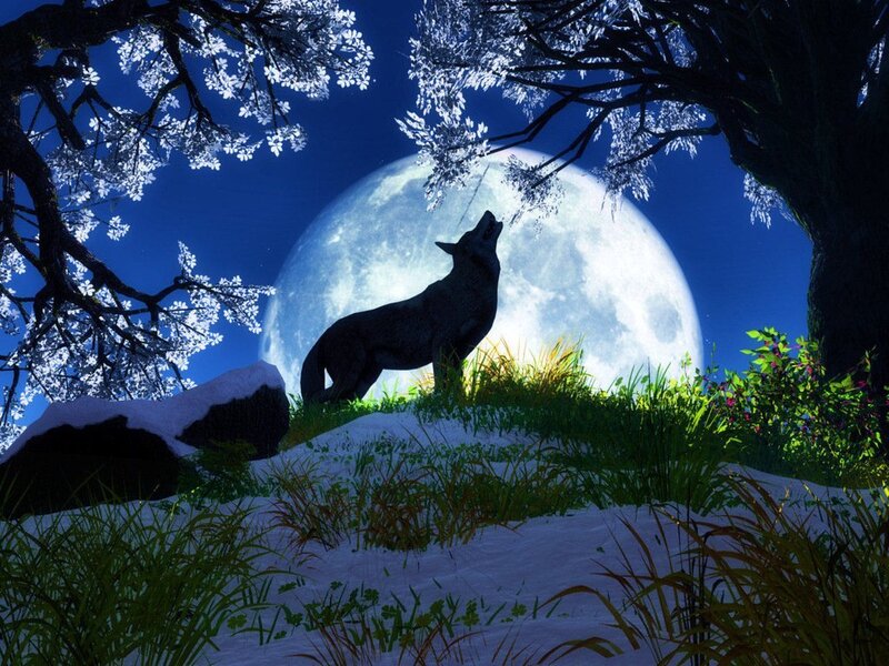 Wolf Howling at Moon — Blue, Dramatic, Night, Digital Art, Trees