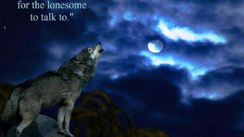 Wolf Howling at Moon — Blue, Dramatic, Night, Photograph, Clouds, Text