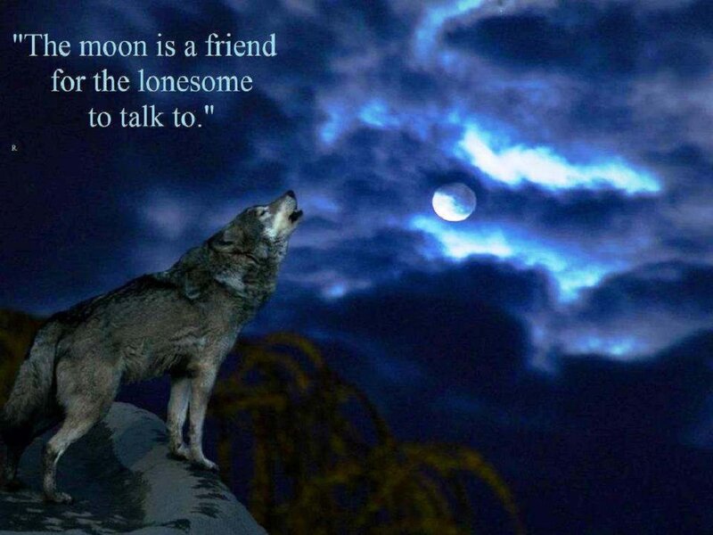 Wolf Howling at Moon — Blue, Dramatic, Night, Photograph, Clouds