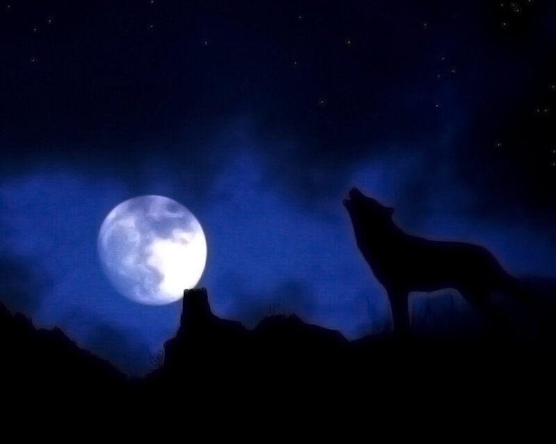 Wolf Howling at Moon — Blue, Dramatic