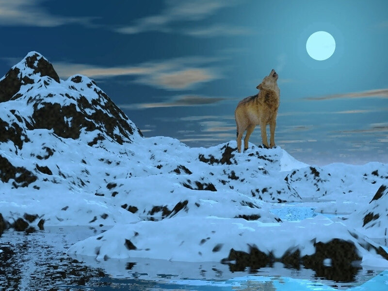 Wolf Howling at Moon — Blue, Serene, Night, Digital Art, Mountain, Water