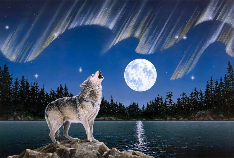 Wolf Howling at Moon — Blue, Serene, Night, Illustration, Forest