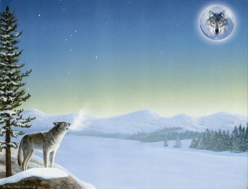 Wolf Howling at Moon — Blue, Serene, Night, Illustration, Snow