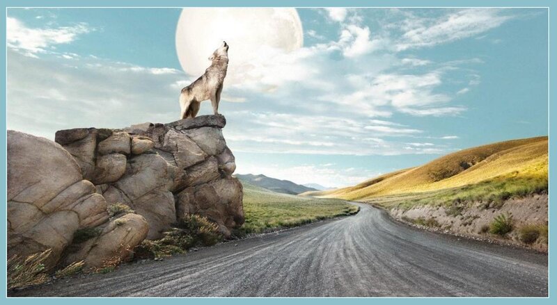 Wolf Howling at Moon — Blue, Serene, Night