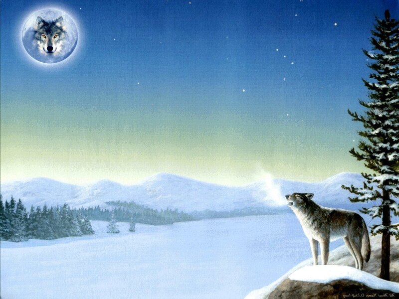 Wolf Howling at Moon — Blue, Serene