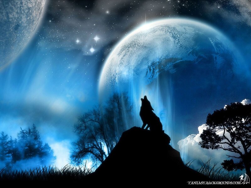 Wolf Howling at Moon — Blue, Stars