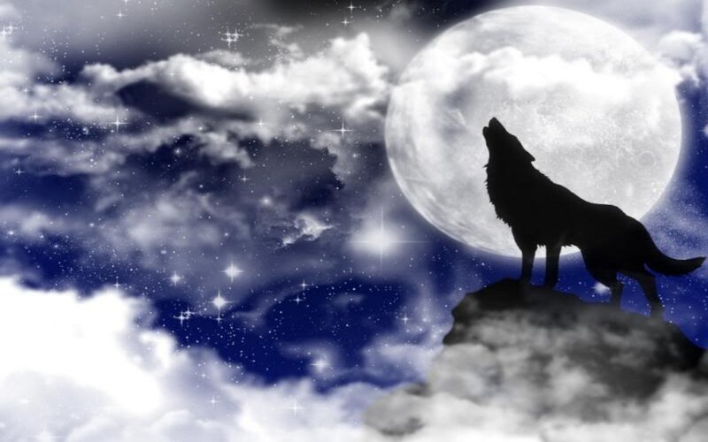 Wolf Howling at Moon — Blue