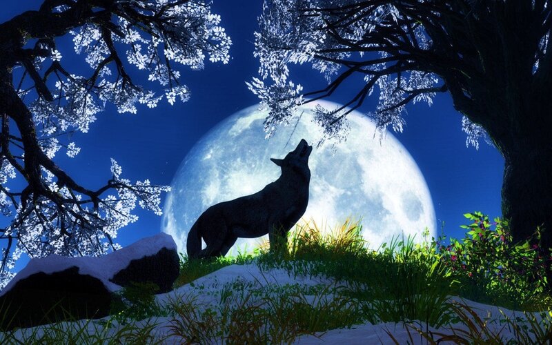 Wolf Howling at Moon — Blue, White