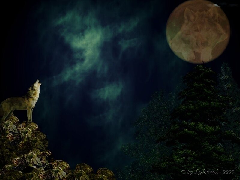 Wolf Howling at Moon — Dark Blue