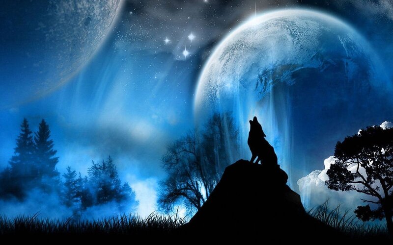 Wolf Howling at Moon — Dramatic, Forest