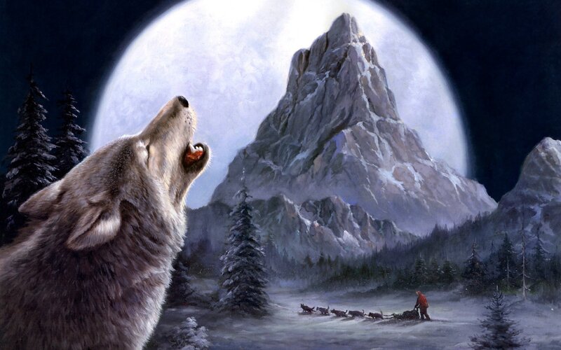 Wolf Howling at Moon — Gray, Dramatic, Night, Painting, Mountain