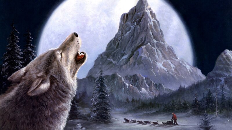 Wolf Howling at Moon — Gray, Dramatic, Night, Painting