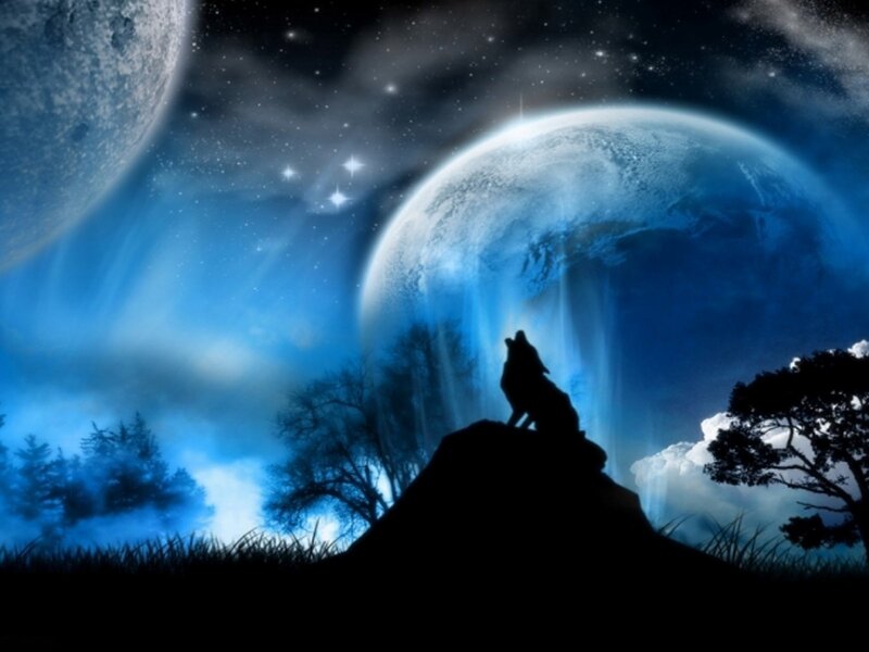 Wolf Howling at Moon — Night, Digital Art