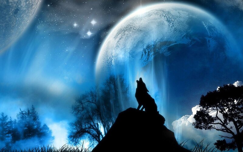 Wolf Howling at Moon — Night, Stars