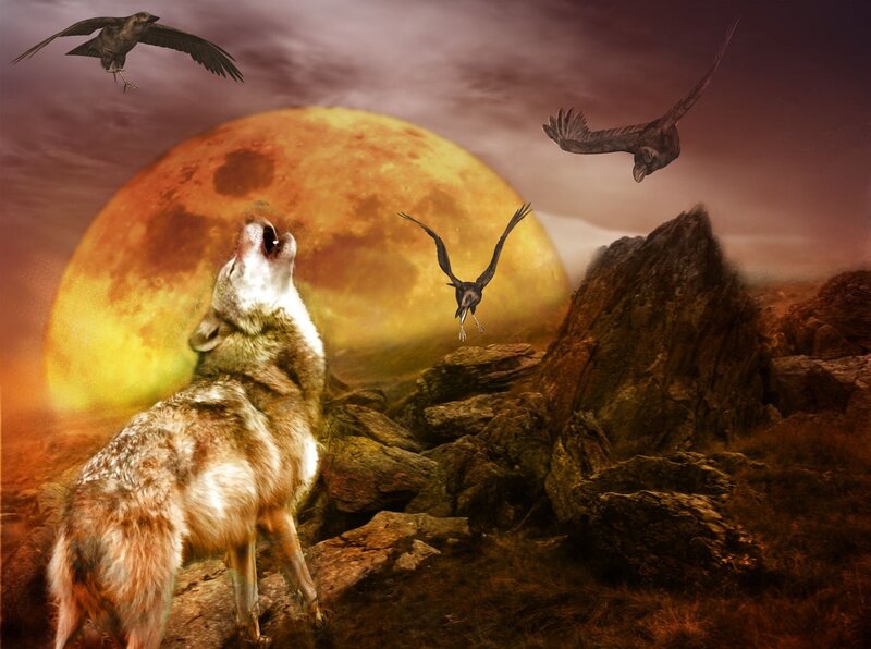 Wolf Howling at Moon — Orange, Dramatic, Night