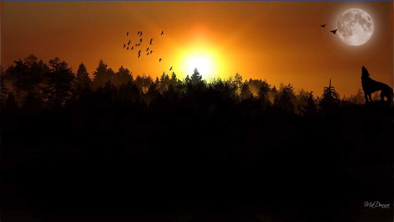 Wolf Howling at Moon — Orange, Dramatic
