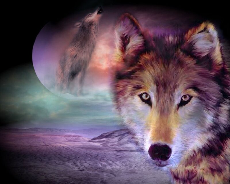Wolf Howling at Moon — Purple, Dramatic, Night, Digital Art, Desert