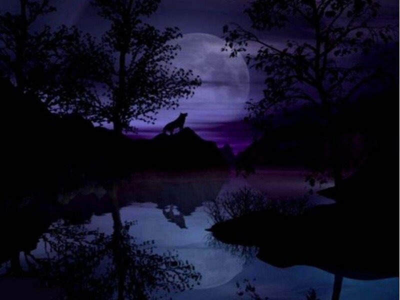 Wolf Howling at Moon — Purple, Dramatic, Night, Digital Art, River