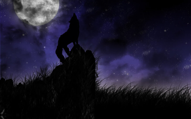 Wolf Howling at Moon — Purple, Dramatic, Night, Digital Art, Stars