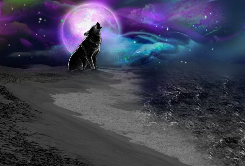 Wolf Howling at Moon — Purple, Dramatic