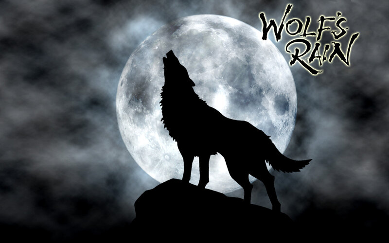 wolf howling at moon