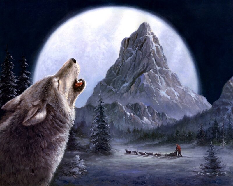 Wolf Howling at Moon — White
