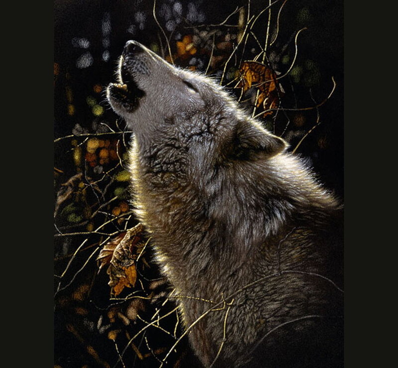 wolf howling at night