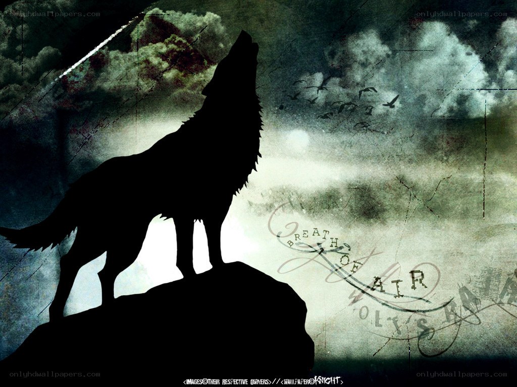 wolf howling at night