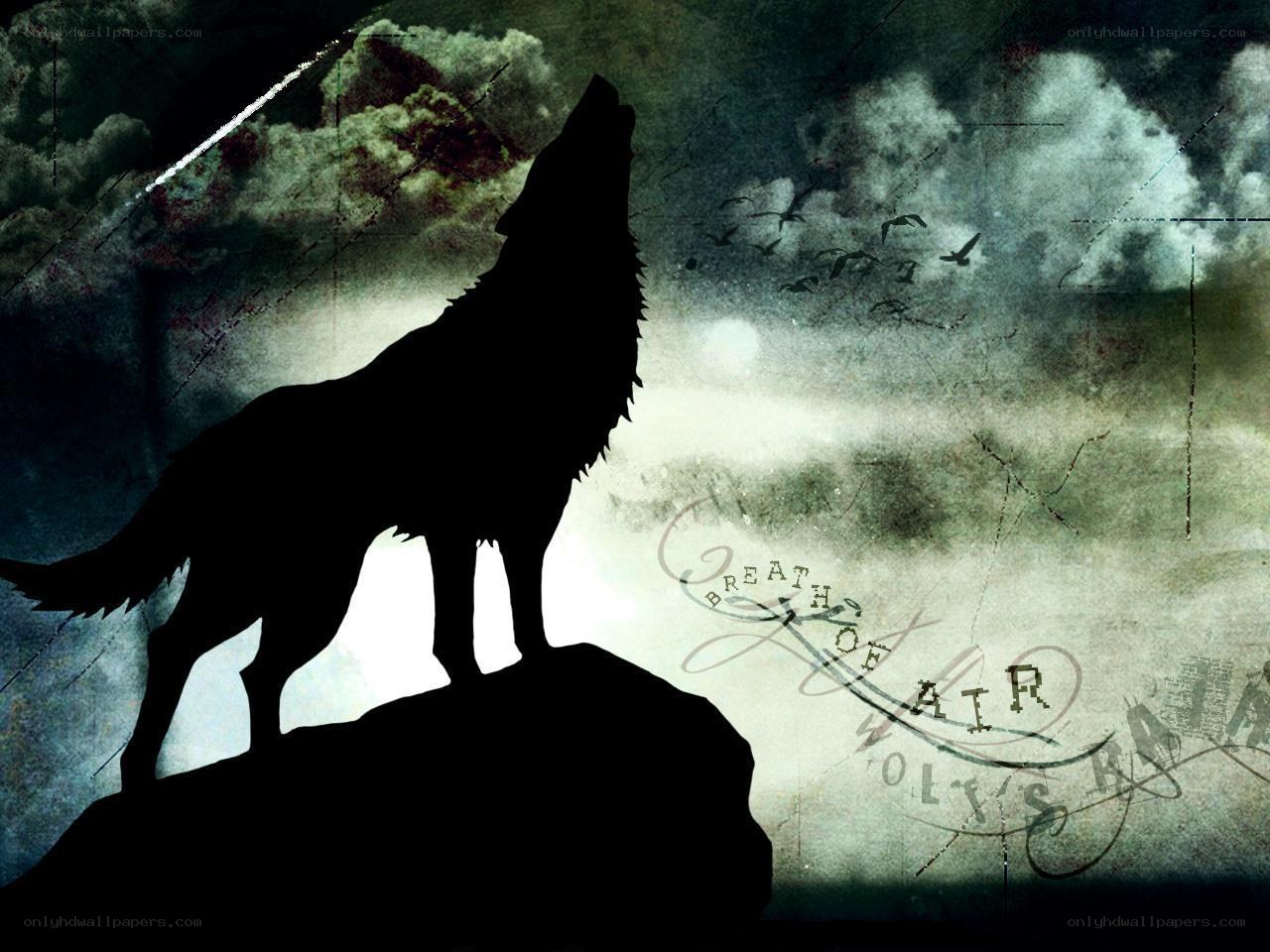 wolf howling at night