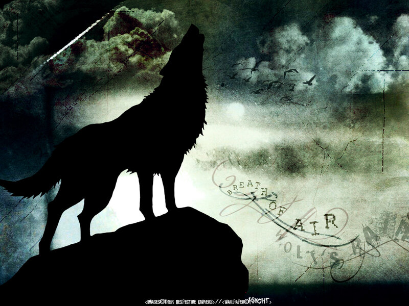 wolf howling at night