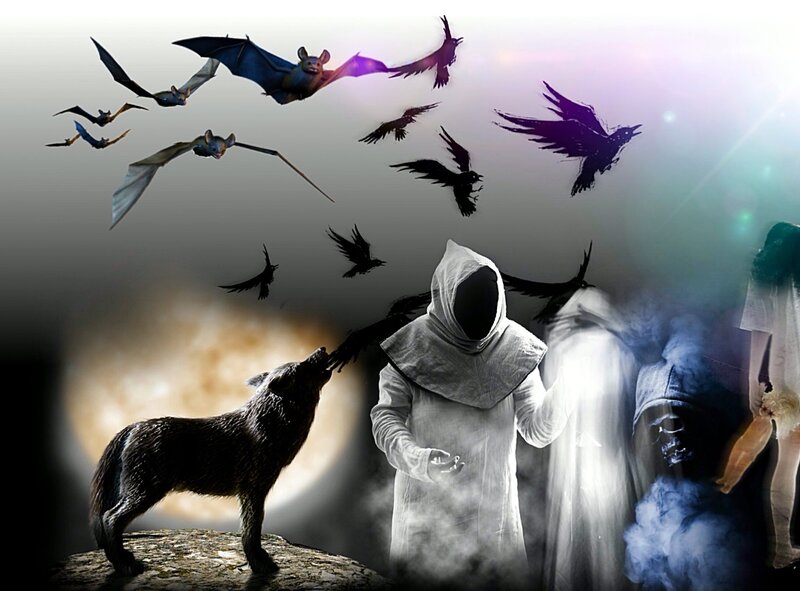 Wolf Howling at Night — Black, Dark