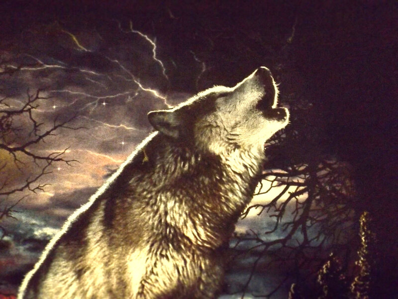 Wolf Howling at Night — Black, Dramatic, Digital Art, Lightning