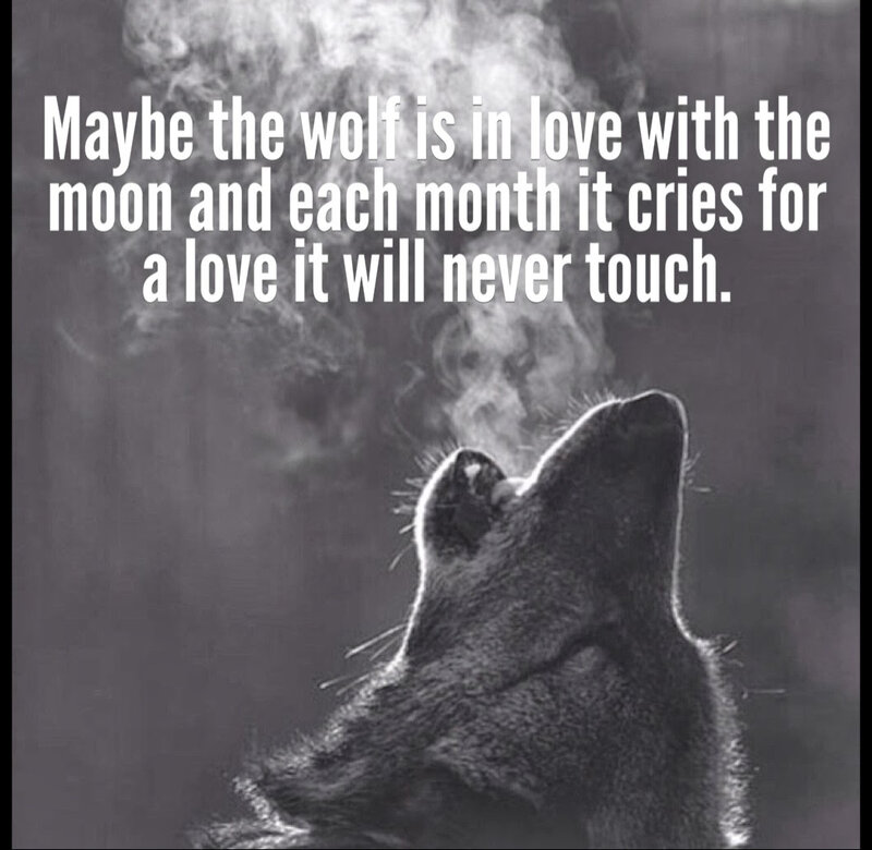 Wolf Howling at Night — Black, Dramatic, Photograph, Moon