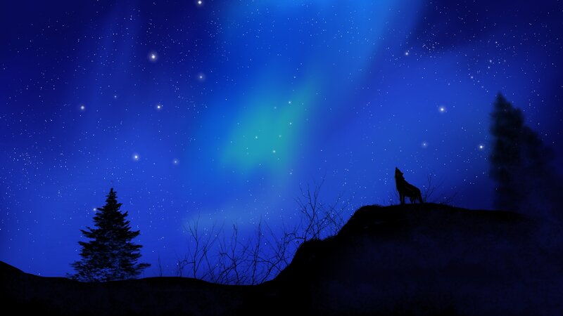 Wolf Howling at Night — Blue, Serene, Digital Art, Tree