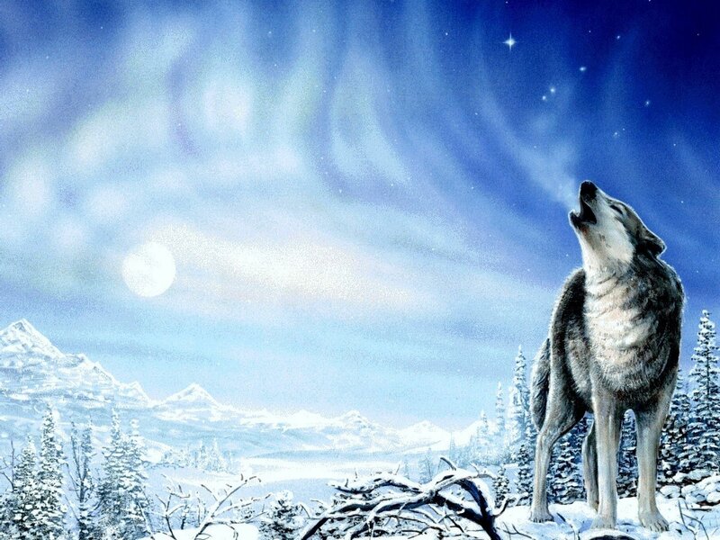 Wolf Howling at Night — Blue