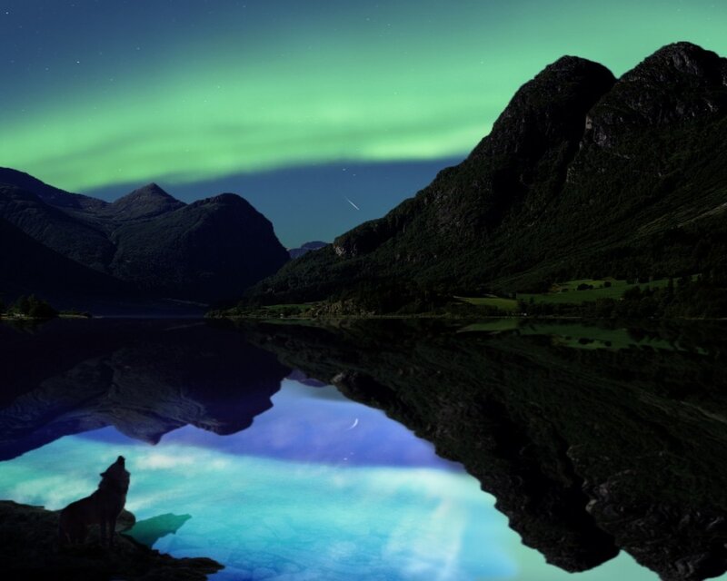 Wolf Howling at Night — Green