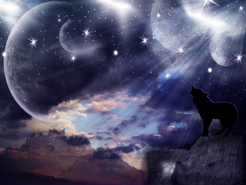 Wolf Howling at Night — Purple, Dramatic