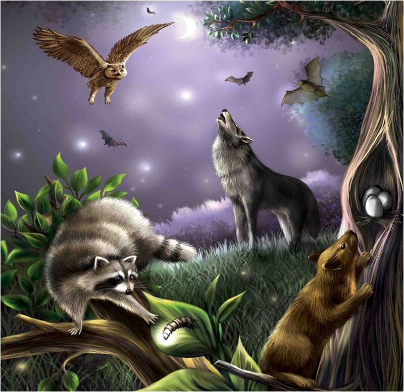 Wolf Howling at Night — Purple, Nocturnal