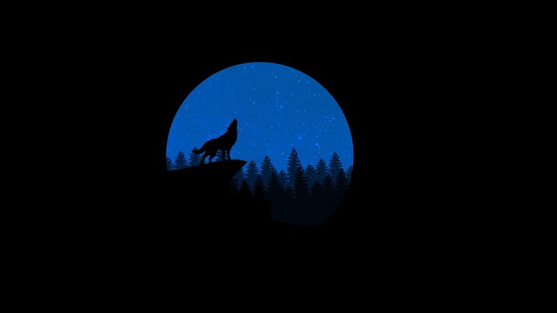 wolf howling at night